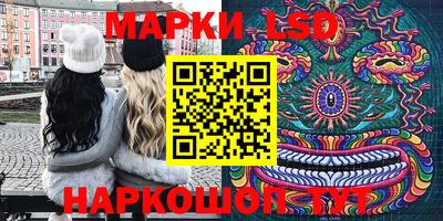 амф Новодвинск