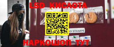амф Новодвинск