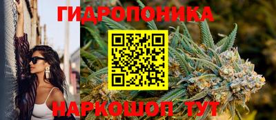 амф Новодвинск