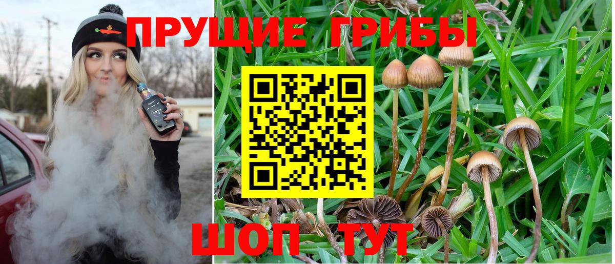 Галлюциногенные грибы GOLDEN TEACHER Ростов-на-Дону